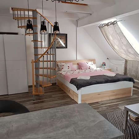 Pension Donaublick Grein 2 In Stifterstrasse 19A Екстер'єр фото