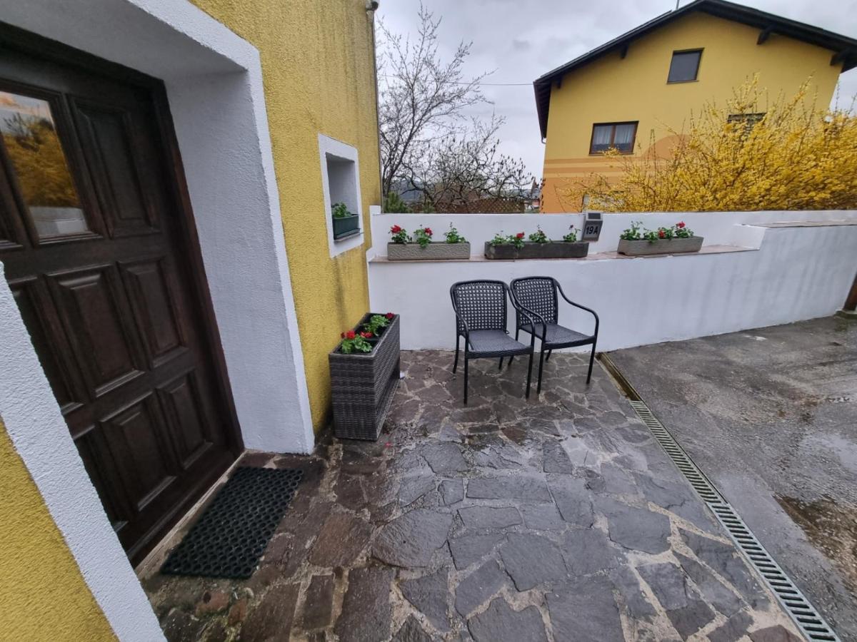 Pension Donaublick Grein 2 In Stifterstrasse 19A Екстер'єр фото