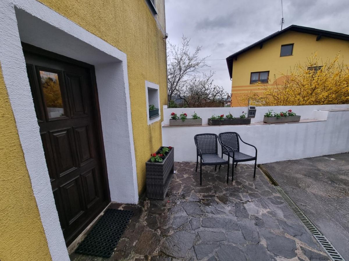 Pension Donaublick Grein 2 In Stifterstrasse 19A Екстер'єр фото