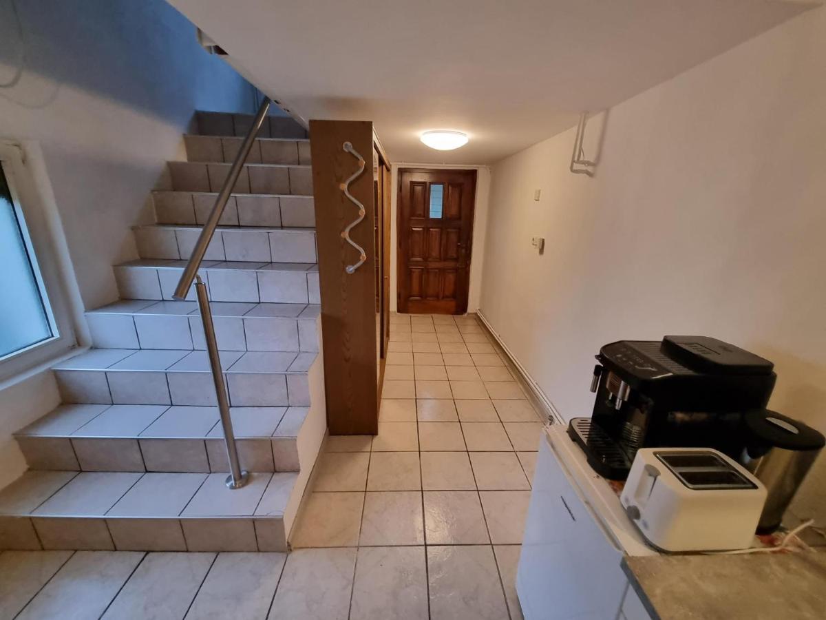 Pension Donaublick Grein 2 In Stifterstrasse 19A Екстер'єр фото