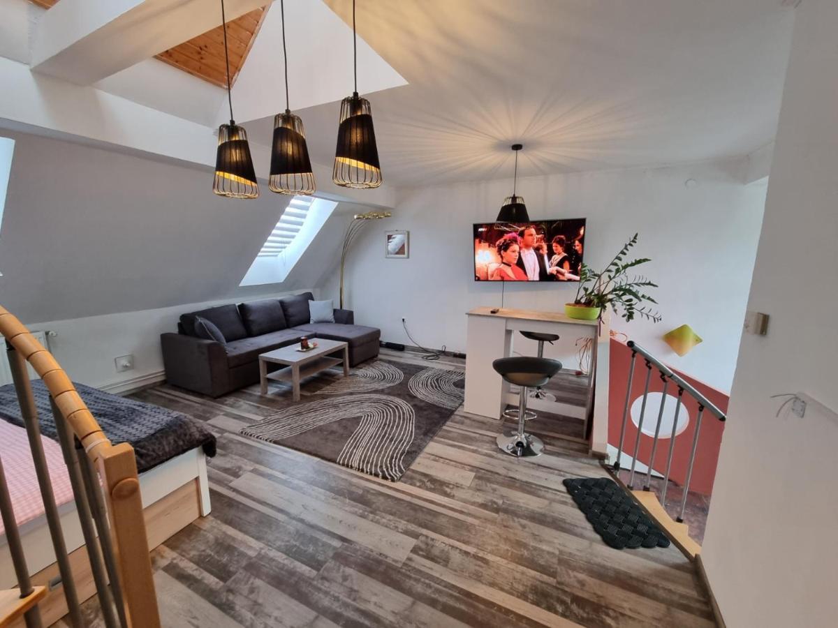 Pension Donaublick Grein 2 In Stifterstrasse 19A Екстер'єр фото