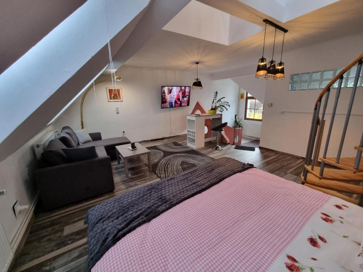 Pension Donaublick Grein 2 In Stifterstrasse 19A Екстер'єр фото