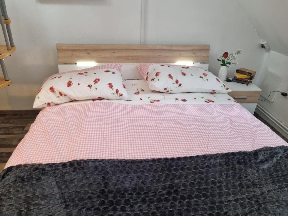 Pension Donaublick Grein 2 In Stifterstrasse 19A Екстер'єр фото
