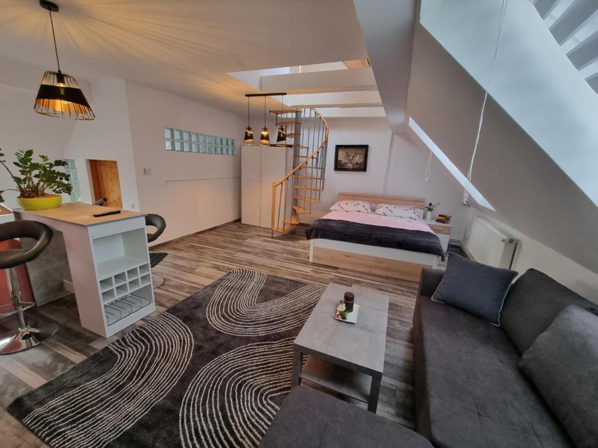 Pension Donaublick Grein 2 In Stifterstrasse 19A Екстер'єр фото