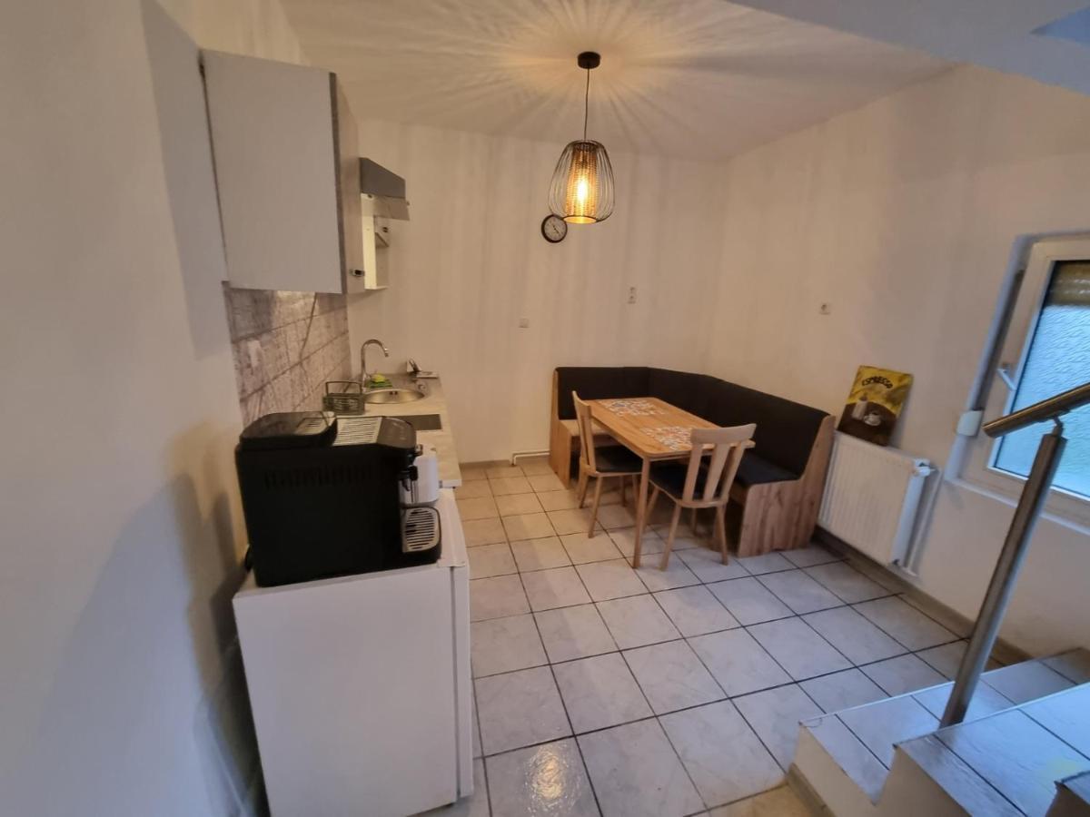 Pension Donaublick Grein 2 In Stifterstrasse 19A Екстер'єр фото