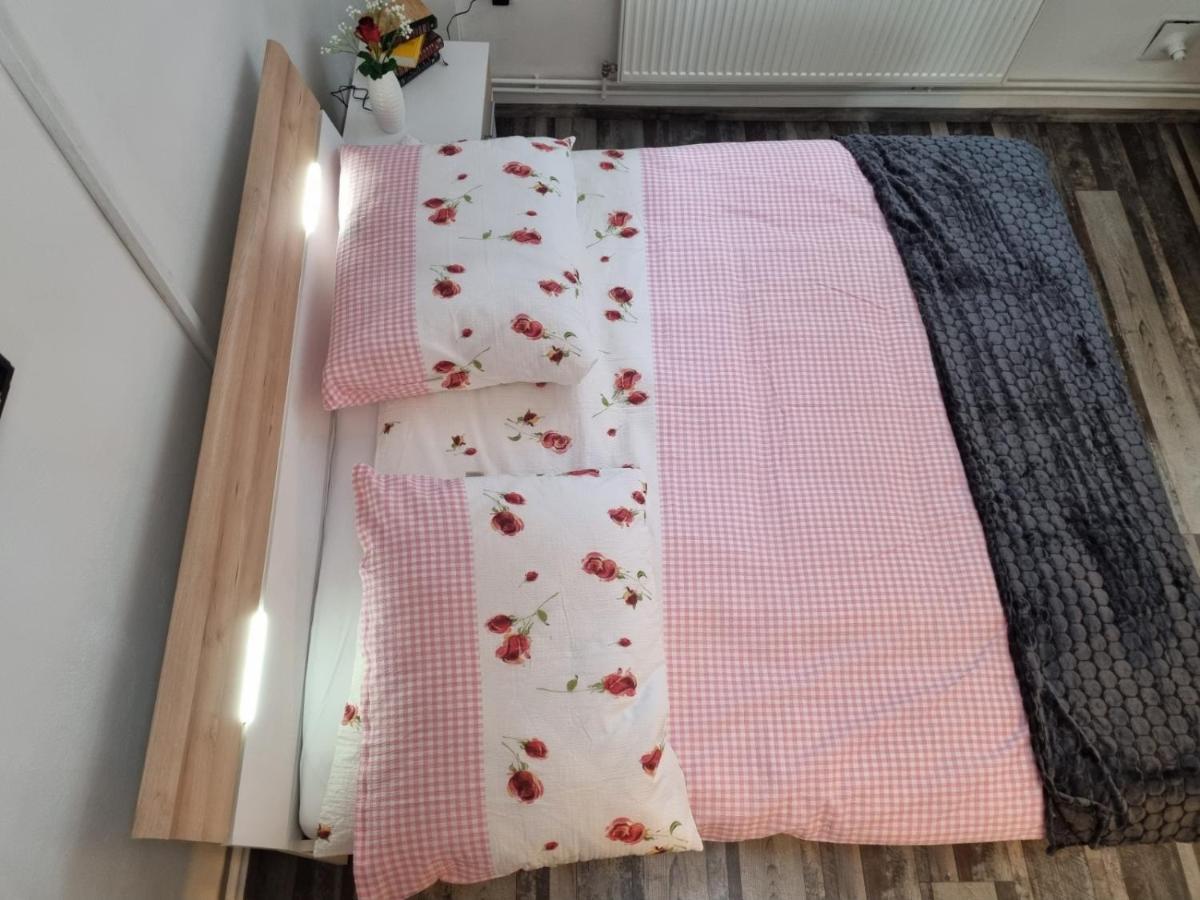 Pension Donaublick Grein 2 In Stifterstrasse 19A Екстер'єр фото