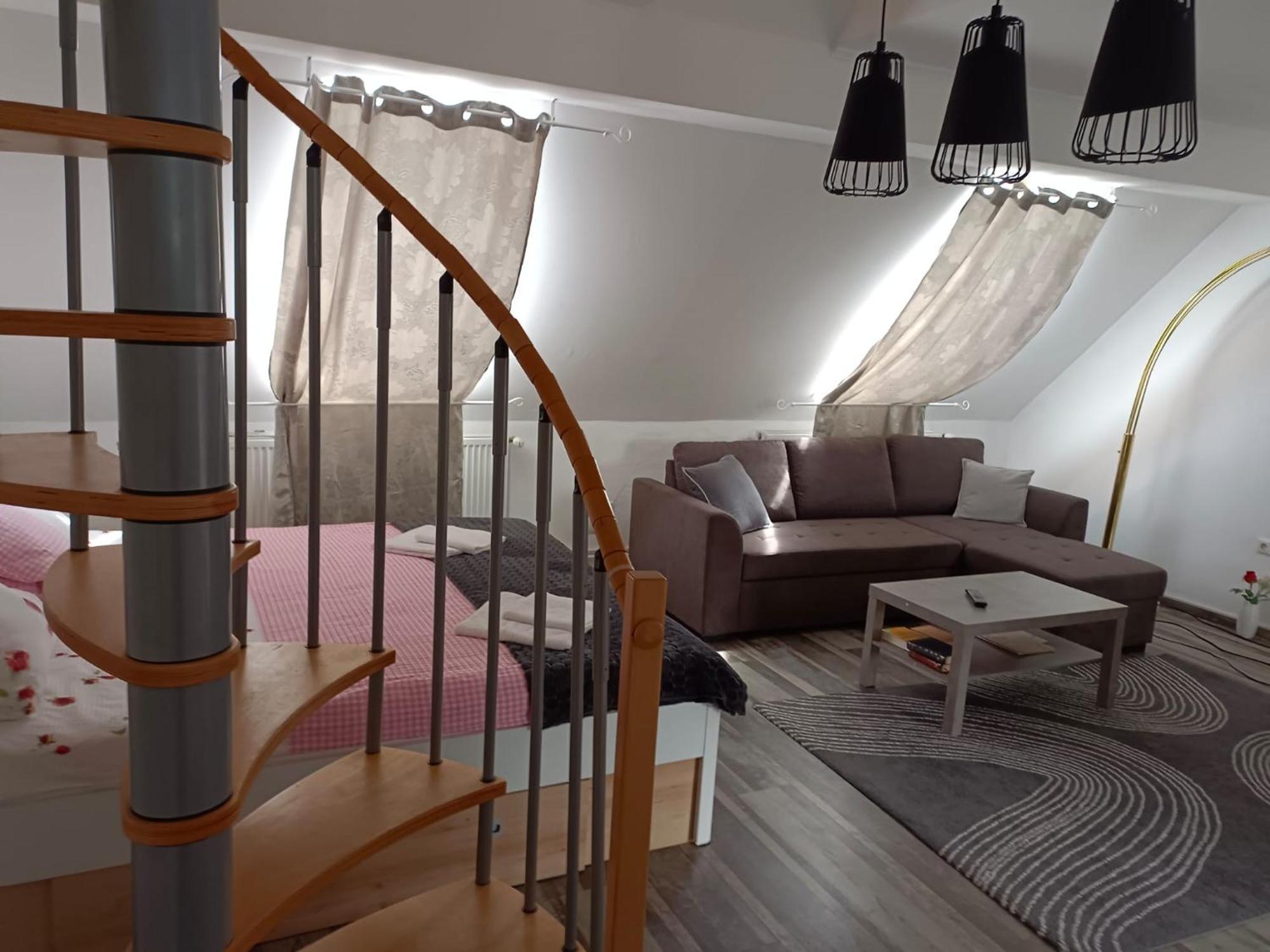 Pension Donaublick Grein 2 In Stifterstrasse 19A Екстер'єр фото