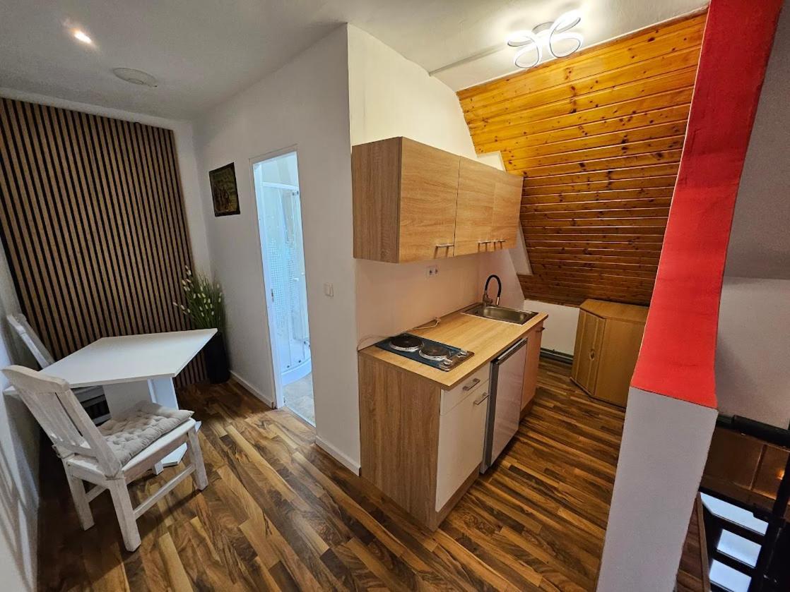 Pension Donaublick Grein 2 In Stifterstrasse 19A Екстер'єр фото