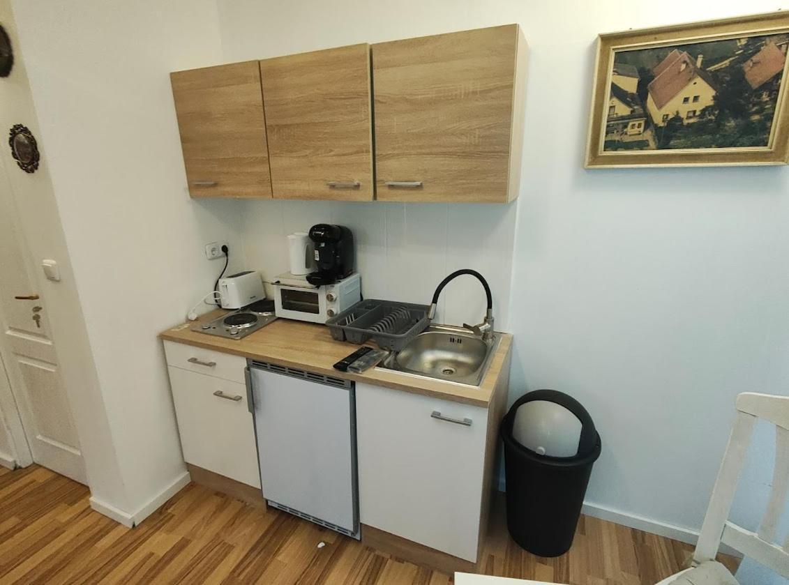 Pension Donaublick Grein 2 In Stifterstrasse 19A Екстер'єр фото
