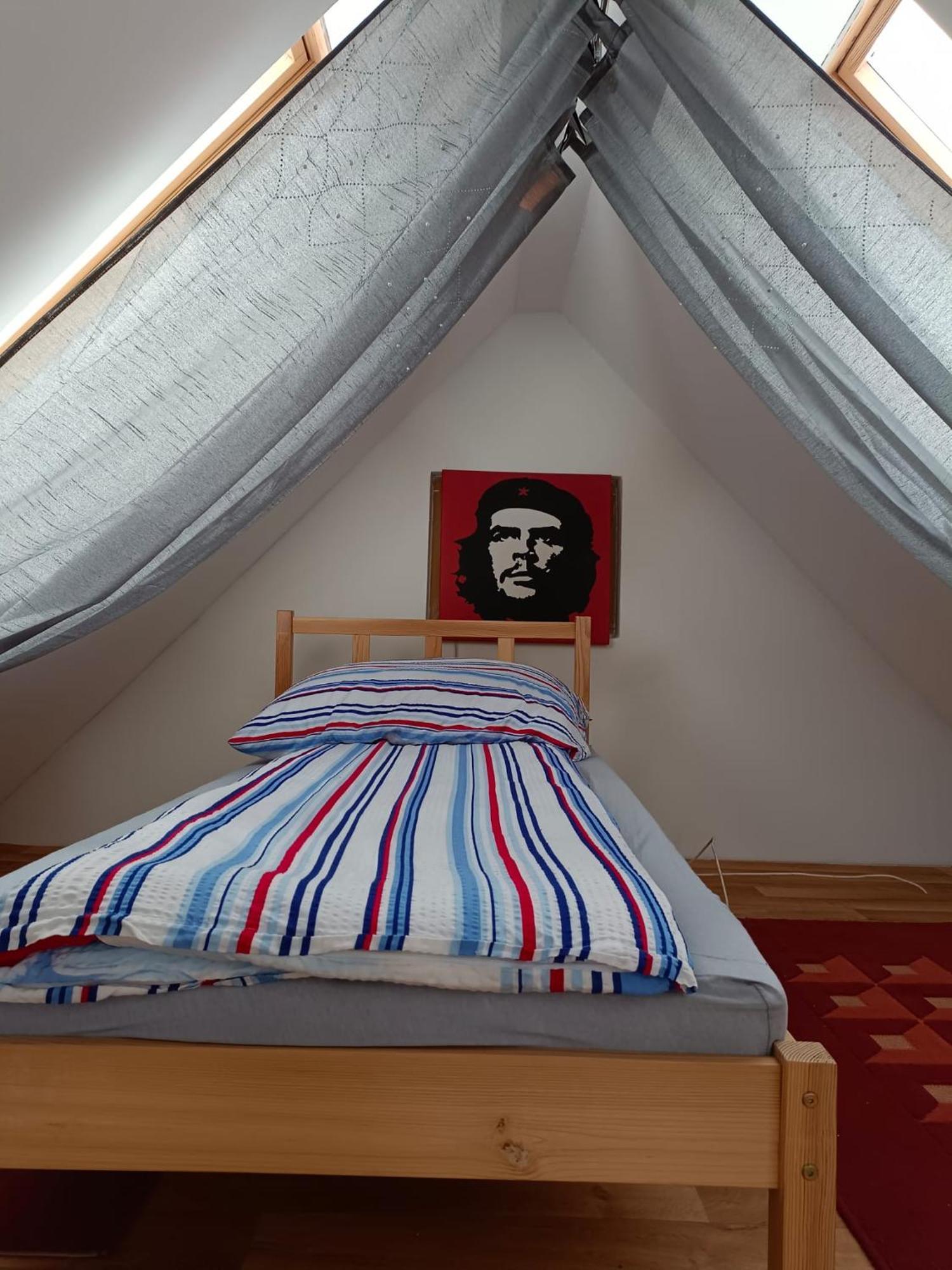 Pension Donaublick Grein 2 In Stifterstrasse 19A Екстер'єр фото