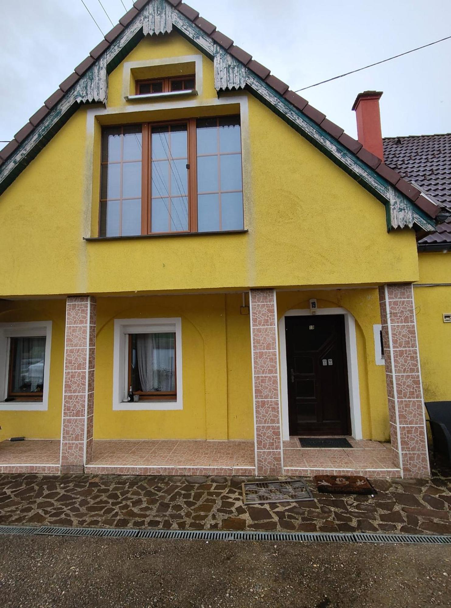 Pension Donaublick Grein 2 In Stifterstrasse 19A Екстер'єр фото