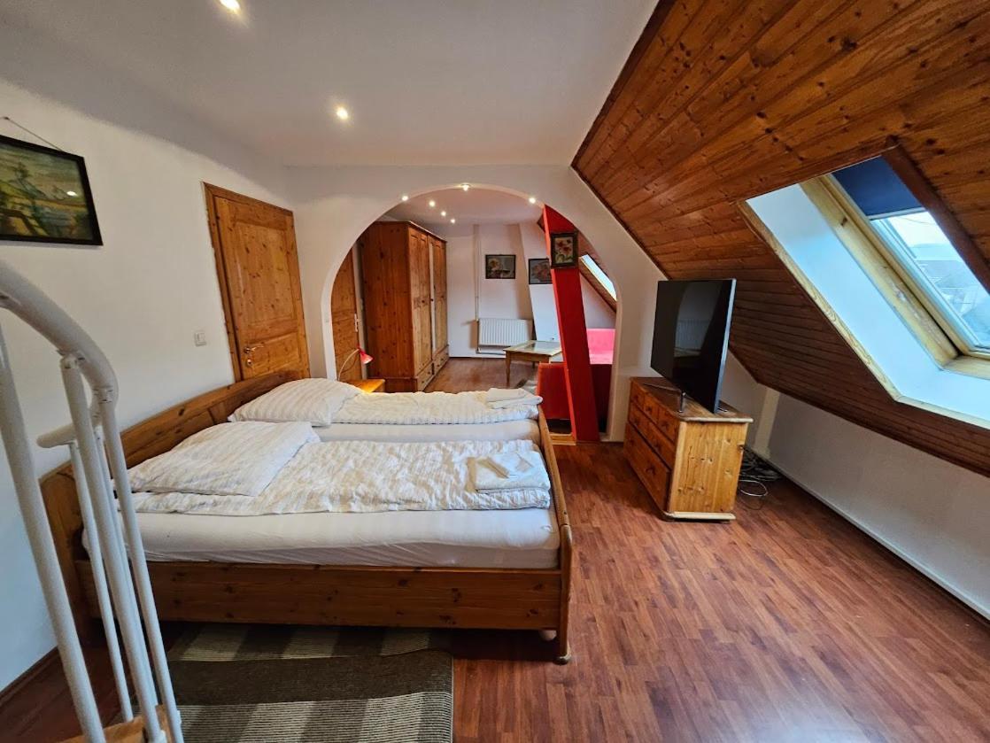 Pension Donaublick Grein 2 In Stifterstrasse 19A Екстер'єр фото
